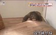 남친 정떨어지는데 내가 너무 못됐나