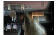 데이식스 도운이랑 유혜주 동생 사귄다는데
