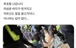 518의 진실을 알것같다 ‼언론의조작질