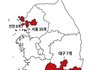 6.3 지방선거는 조직적인 부정선거임