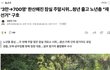 언론 진짜 개ㅈㄹ 남