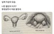 실제 자궁이래....