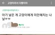 아기 낳았는데 고양이가 더 소중하다는사람