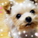 울 까꽁이~ <b>새끼</b> 낳아야 할까요??