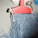 마대 걸래에 난 <b>버섯</b>..ㅡ.ㅡ^