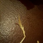 롯데리아 치킨<b>버거</b> 먹다가.. 닭털이...........