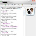 아무도 안쓰는줄 알았던 내 옛날 아이디,