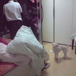 뉴스에서만 보던 <b>빈집털</b>이.. 저희집을 털어갔네요..