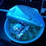 아 이런 라면 보셧나요