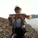 <b>쏘가리</b>가 이렇해 클줄이야~~우와!!!!!