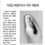 y <b>우유</b> 정말 안되겠네요 꼭 좀 봐주세요 부탁드립니다