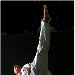 <b>초원</b>을 달리는 사자