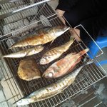 1박2일 맛집 강원도 속초 아바이마을