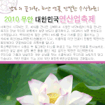 무안연<b>산업</b>축제 연꽃밭에 서서 하늘은 보아요..