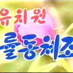 [화제/이슈영상] 북한 어린이들 률동체조