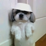 오줌싸  벌받는  콩