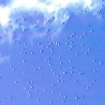 <b>ufo</b>와 외계인의 존재 비밀이 곧 밝혀진다?