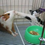 아 배고파, 밥아 <b>일루</b>와~!