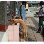 나도 물 좀 <b>먹자</b>!!