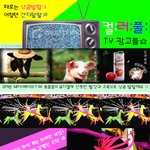 <b>컬러풀</b>한 광고들