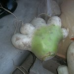 곰발<b>바닥</b> 무발바닥 ㅋㅋㅋㅋㅋㅋㅋ