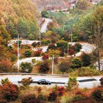 가을 추천 드라이브 코스 '베스트5'