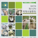 <b>수달</b>축제에 놀러오세요~