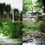<b>하이원</b> 리조트 환상의 코스