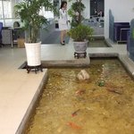 사무실인지 <b>수족관</b>인지 구분이 안가는 고기반 사람반 사무실