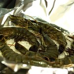 <b>새우</b> 소금 구이