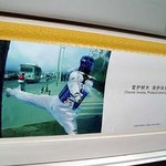 <b>태권도</b>가 환경 파괴의 주범이라고 ???