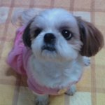 벌서는 콩 2탄입니다