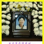 가슴속에 묻은 내어머니!! 서명운동