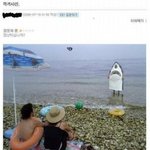여름휴가 바다에서 <b>상어</b>를 봤어요!