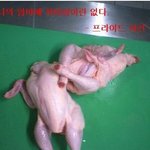 <b>프라이드</b>대사건