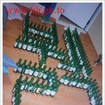 <b>알콜</b>중독자의 혼자놀기...ㅋㅋ