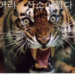 "<b>산소</b>공급제" 보세요.