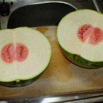 잘익은 <b>수박</b>...