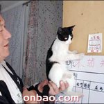 중국,고양이가 찍은 번호가 <b>로또</b> 당첨 ;;;;;;