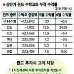 펀드로 벌었다고? 나는 왜 죽 쒔을까