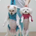 아이구~ 골병들어요...
