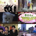 얼렁뚱땅 흥신소 와우~