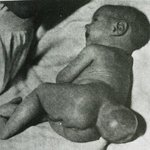 불쌍한 우리 둥이 이야기좀 들어주세요....