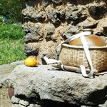 제주도로 오세요 너무 멋진 제주도 자연생활공원~~강추