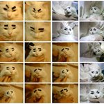 <b>다양</b>한 표정의 냥이~ㅋㅋ