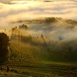 주말에 가볼만한 숲길