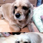 장조림<b>남</b> 사건 .... 다들 이러신적 있으신가요 ;?