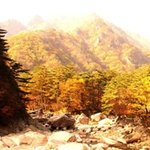 <b>중년</b>의 슬픈사랑