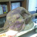 <b>통닭</b> 고구마