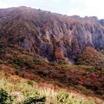 스산한 바람.....